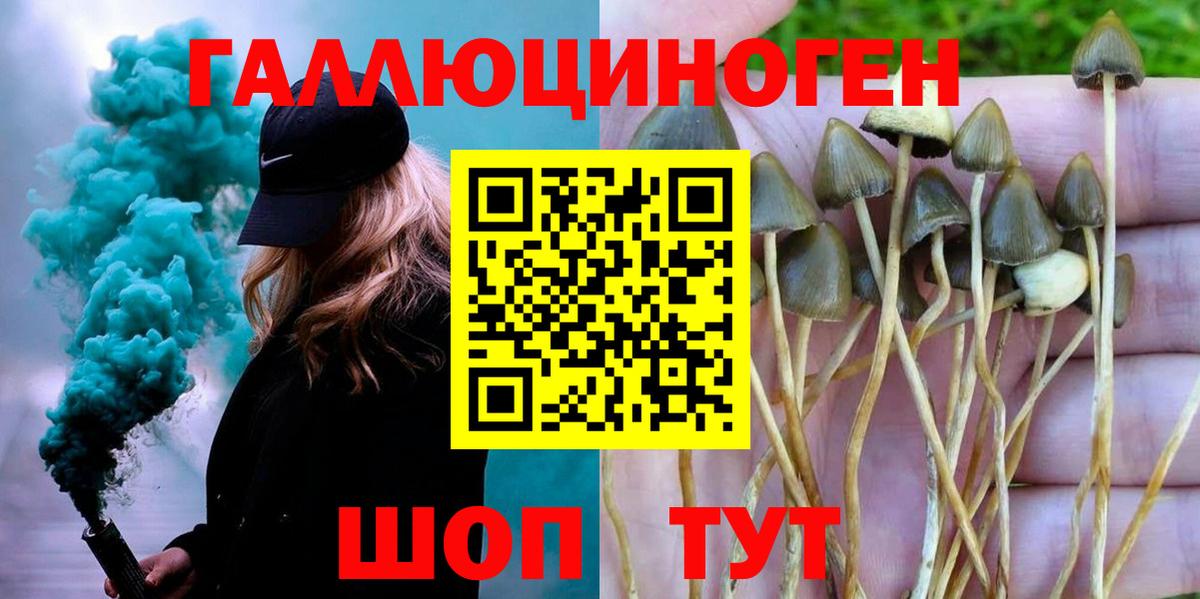 Псилоцибиновые грибы Cubensis  Галлюциногенные грибы GOLDEN TEACHER  Шатура  Вход с VPN 