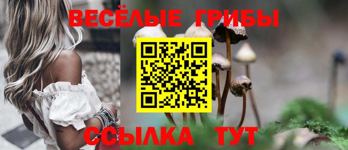 Псилоцибиновые грибы прущие грибы Шатура